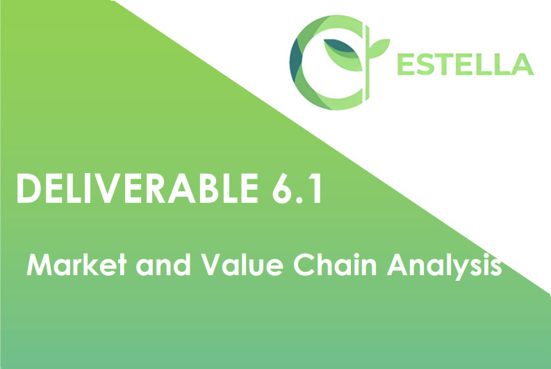 D6.1 Market and Value Chain Analysis