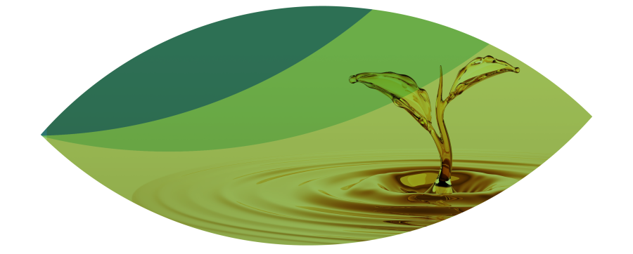 ESTELLA Flyer